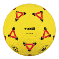 Мяч футбольний Winner Indoor