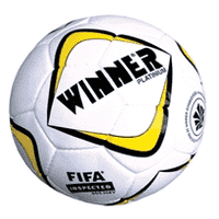 Мяч футбольний Winner Platinum