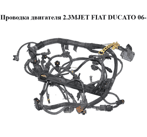 Проводка двигателя 2.3MJET  FIAT DUCATO 06-14 (ФИАТ ДУКАТО) (504383024)