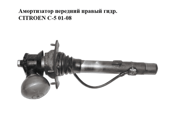 Амортизатор передний  правый гидр. CITROEN C-5 01-08 (СИТРОЕН Ц-5) (5271G2, 5271H5, 5271H7) - LvivMarket.net