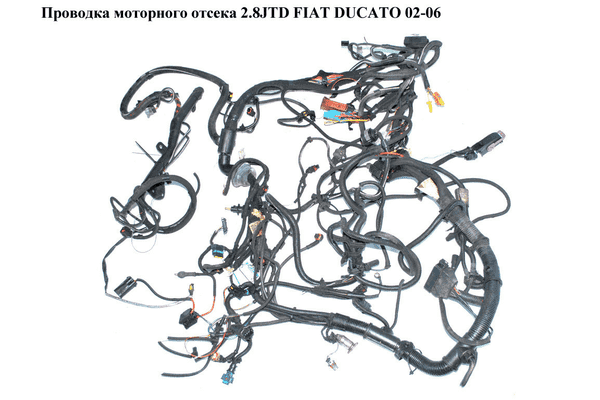 Проводка моторного отсека 2.8JTD  FIAT DUCATO 02-06 (ФИАТ ДУКАТО) (1342373080, 504084784) - LvivMarket.net