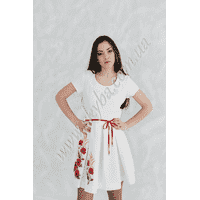 Жіноча вишита сукня СК6282