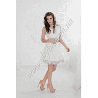Жіноча вишита сукня СК6331
