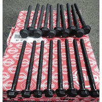 Болты головки блока цилиндра (комплект - 18 шт) Peugeot Boxer III (2006-2014) 2.2HDI 0204A9,0204C0,14-32341-01,81043800,22-53014B,EL733100,BK9602