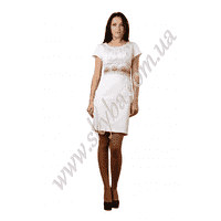 Жіноча вишита сукня СК6133