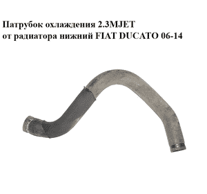 Патрубок охлаждения 2.3MJET от радиатора нижний FIAT DUCATO 06-14 (ФИАТ ДУКАТО) (1342722080)
