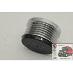 Шкив генератора демпферный 6 ручейковый Пежо Эксперт / Peugeot Expert  77363468, EVR59956 - ЛьвівМаркет, Фото 3 Шкив генератора демпферный 6 ручейковый Пежо Эксперт / Peugeot Expert  77363468, EVR59956 - LvivMarket.net, Фото 3