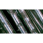 Сітка Рабица 50х50 Ø1.6 1.5х10м оцинкована Унипласт (Другий гатунок) - ЛьвівМаркет, Фото 5 Сітка Рабица 50х50 Ø1.6 1.5х10м оцинкована Унипласт (Другий гатунок) - LvivMarket.net, Фото 5