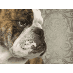 Шпалери Studio 465 London - ЛьвівМаркет, Фото 2 Шпалери Studio 465 London - LvivMarket.net, Фото 2