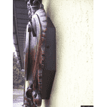 Антикварний настінний годинник (4936) - ЛьвівМаркет, Фото 22 Антикварний настінний годинник (4936) - LvivMarket.net, Фото 22