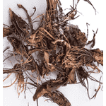 Настоянка червоної щітки,  250мл. - ЛьвівМаркет, Фото 2 Настоянка червоної щітки,  250мл. - LvivMarket.net, Фото 2