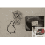 Водяная помпа Пежо Партнер / Peugeot Partner  B9  THERMOTEC D1P036TT - ЛьвівМаркет, Фото 1 Водяная помпа Пежо Партнер / Peugeot Partner  B9  THERMOTEC D1P036TT - LvivMarket.net, Фото 1