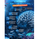 Мухомор червоний+ їжовик гребінчастий 60 капс. 0.5г - ЛьвівМаркет, Фото 4 Мухомор червоний+ їжовик гребінчастий 60 капс. 0.5г - LvivMarket.net, Фото 4