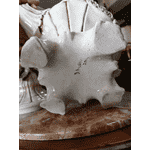 Ваза-кувшин Bassano (5108) - ЛьвівМаркет, Фото 17 Ваза-кувшин Bassano (5108) - LvivMarket.net, Фото 17