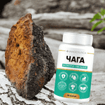 Чага, капсули по 300 мг № 140 у контейнері - ЛьвівМаркет, Фото 4 Чага, капсули по 300 мг № 140 у контейнері - LvivMarket.net, Фото 4