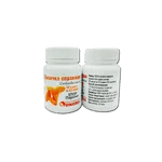 Лисична справжня 60 кап. 0.5г - ЛьвівМаркет, Фото 1 Лисична справжня 60 кап. 0.5г - LvivMarket.net, Фото 1