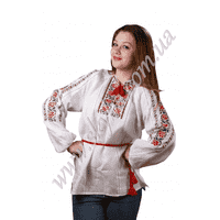 Жіноча вишита блузка СК2071