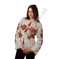 Жіноча вишита блузка СК2114