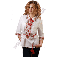 Жіноча вишита блузка СК2081