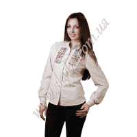 Жіноча вишита блузка СК2141
