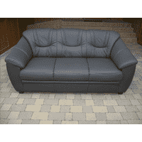 Новий шкіряний диван (5936)