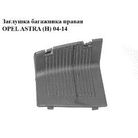 Заглушка багажника правая OPEL ASTRA (H) 04-14 (ОПЕЛЬ АСТРА H) (24464171)