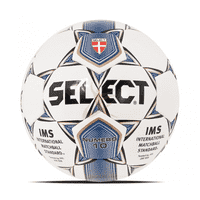 Мяч футбольний SELECT #10 IMS