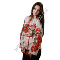 Жіноча вишита блузка СК2101