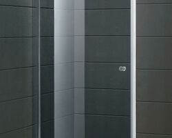 Душові двері PARADISO P2151SG Душові двері PARADISO P2151SG