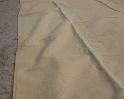 бунтові бунтові