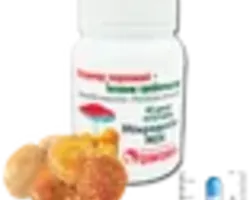 Мухомор червоний+ їжовик гребінчастий 60 капс. 0.5г Мухомор червоний+ їжовик гребінчастий 60 капс. 0.5г