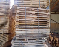 Заготовки на європіддони сосна Заготовки на європіддони сосна