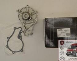 Водяная помпа Пежо Эксперт / Peugeot Expert III THERMOTEC D1P036TT Водяная помпа Пежо Эксперт / Peugeot Expert III THERMOTEC D1P036TT