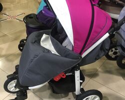 Camarelo Eos Camarelo Eos