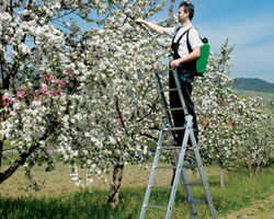 Драбина алюмінієва VHR TK 3x8 Драбина алюмінієва VHR TK 3x8