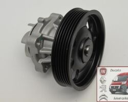 Водяная помпа Фиат Добло / Fiat Doblo (2005-2009) 1.3 Mjtd (1248 куб.см.) THERMOTEC D1F074TT,46819138 Водяная помпа Фиат Добло / Fiat Doblo (2005-2009) 1.3 Mjtd (1248 куб.см.) THERMOTEC D1F074TT,46819138