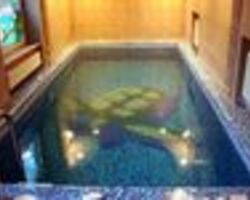 Басейни із мозаїчним покриттям Басейни із мозаїчним покриттям