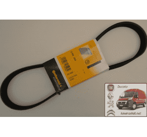 Ремень ручейковый 6 PK 869 Ситроен Берлинго / Citroen Berlingo M49 CONTITECH 6 PK 869 Ремень ручейковый 6 PK 869 Ситроен Берлинго / Citroen Berlingo M49 CONTITECH 6 PK 869