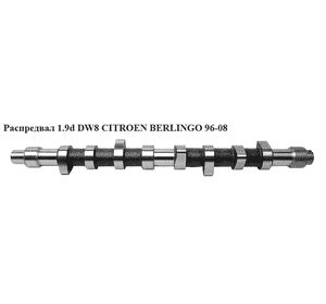 Распредвал 1.9d DW8  CITROEN BERLINGO 96-08 (СИТРОЕН БЕРЛИНГО) (0801E8, 9603104288, 0801.E8) Распредвал 1.9d DW8  CITROEN BERLINGO 96-08 (СИТРОЕН БЕРЛИНГО) (0801E8, 9603104288, 0801.E8)