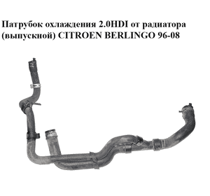Патрубок охлаждения 2.0HDI от радиатора (выпускной) CITROEN BERLINGO 96-08 (СИТРОЕН БЕРЛИНГО) (1351Z1) Патрубок охлаждения 2.0HDI от радиатора (выпускной) CITROEN BERLINGO 96-08 (СИТРОЕН БЕРЛИНГО) (1351Z1)