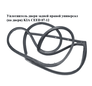 Уплотнитель двери задней правой  универсал (на двери) KIA CEED 07-12 (КИА СИД) (831401H500) Уплотнитель двери задней правой  универсал (на двери) KIA CEED 07-12 (КИА СИД) (831401H500)
