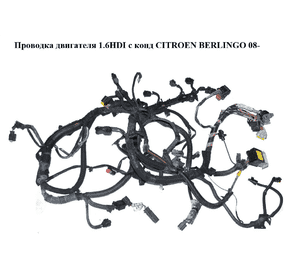 Проводка двигателя 1.6HDI с конд CITROEN BERLINGO 08- (СИТРОЕН БЕРЛИНГО) (9687151880) Проводка двигателя 1.6HDI с конд CITROEN BERLINGO 08- (СИТРОЕН БЕРЛИНГО) (9687151880)