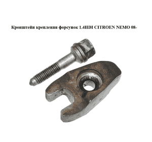 Кронштейн крепления форсунок 1.4HDI  CITROEN NEMO 08- (СИТРОЕН НЕМО) (198275) Кронштейн крепления форсунок 1.4HDI  CITROEN NEMO 08- (СИТРОЕН НЕМО) (198275)