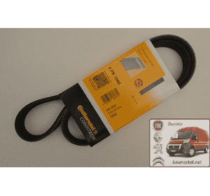 Ремень ручейковый Ситроен Джампи / Citroen Jumpy  CONTITECH 6 PK 1045 Ремень ручейковый Ситроен Джампи / Citroen Jumpy  CONTITECH 6 PK 1045