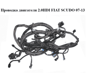 Проводка двигателя 2.0HDI  FIAT SCUDO 07-13 (ФИАТ СКУДО) (1401301980) Проводка двигателя 2.0HDI  FIAT SCUDO 07-13 (ФИАТ СКУДО) (1401301980)