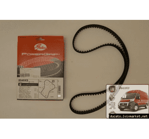 Ремень ГРМ Citroen - Berlingo M49 (1996-2003) GATEX 5049XS,71739919 Ремень ГРМ Citroen - Berlingo M49 (1996-2003) GATEX 5049XS,71739919