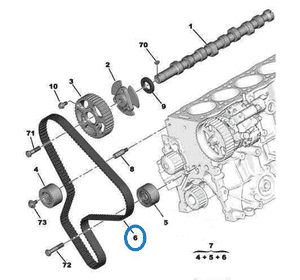 Ремень ГРМ 143зуба Peugeot Boxer II (2002-2006) 2.2HDI 0816G1,DAY94959,1987949648,9634106180,9634740180,1633126880,CT1100,5590XS Ремень ГРМ 143зуба Peugeot Boxer II (2002-2006) 2.2HDI 0816G1,DAY94959,1987949648,9634106180,9634740180,1633126880,CT1100,5590XS