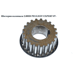 Шестерня коленвала 2.0HDI  PEUGEOT EXPERT 07- (ПЕЖО ЕКСПЕРТ) (0513A9) Шестерня коленвала 2.0HDI  PEUGEOT EXPERT 07- (ПЕЖО ЕКСПЕРТ) (0513A9)