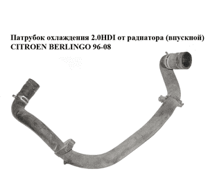 Патрубок охлаждения 2.0HDI от радиатора (впускной) CITROEN BERLINGO 96-08 (СИТРОЕН БЕРЛИНГО) (1343AX) Патрубок охлаждения 2.0HDI от радиатора (впускной) CITROEN BERLINGO 96-08 (СИТРОЕН БЕРЛИНГО) (1343AX)