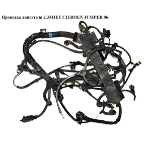 Проводка двигателя 2.3MJET  CITROEN JUMPER 06- (СИТРОЕН ДЖАМПЕР) (1350938080) Проводка двигателя 2.3MJET  CITROEN JUMPER 06- (СИТРОЕН ДЖАМПЕР) (1350938080)